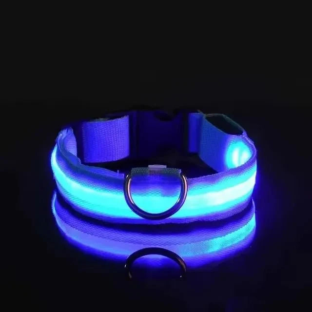LED Dog Collar | Nylon Light-Up Safety Collar, Reflective Glow