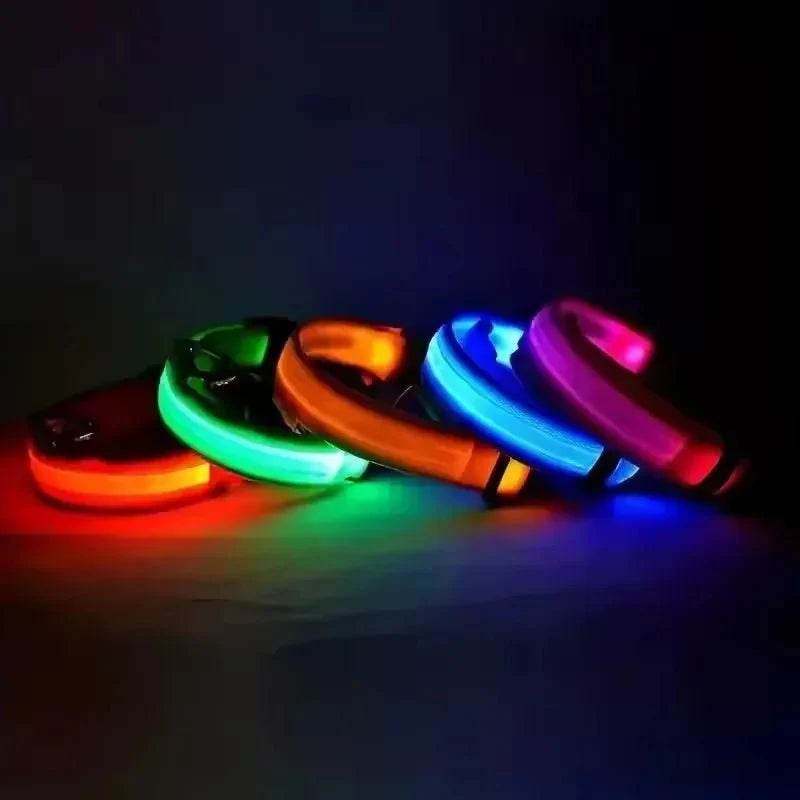 LED Dog Collar | Nylon Light-Up Safety Collar, Reflective Glow