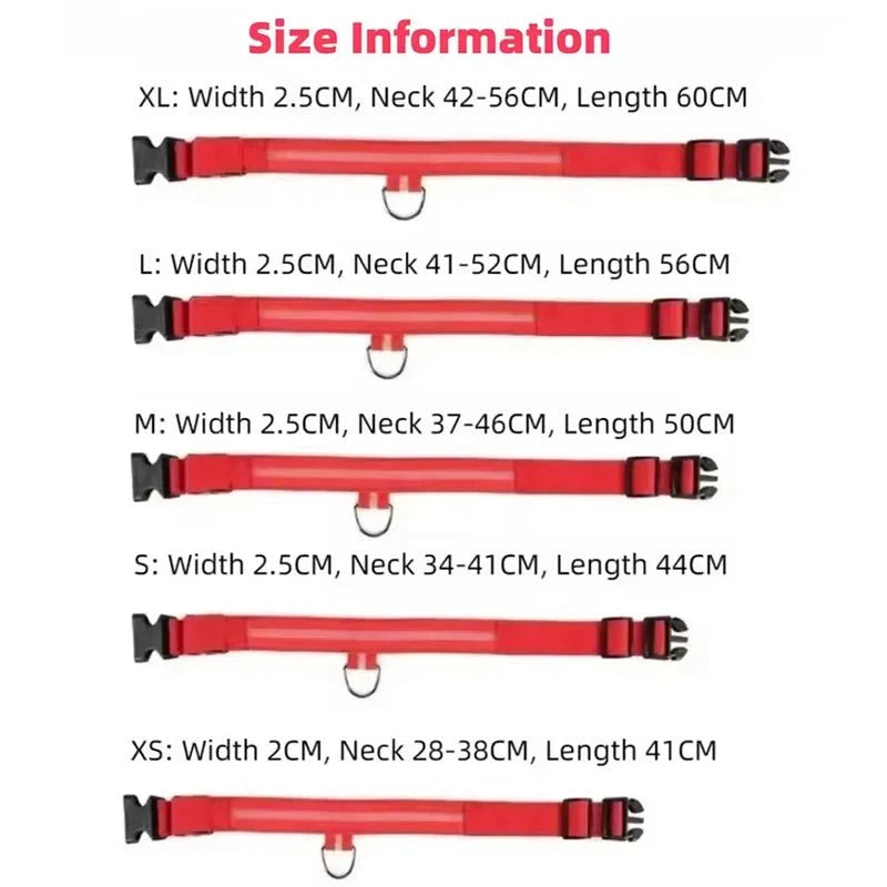 LED Dog Collar | Nylon Light-Up Safety Collar, Reflective Glow