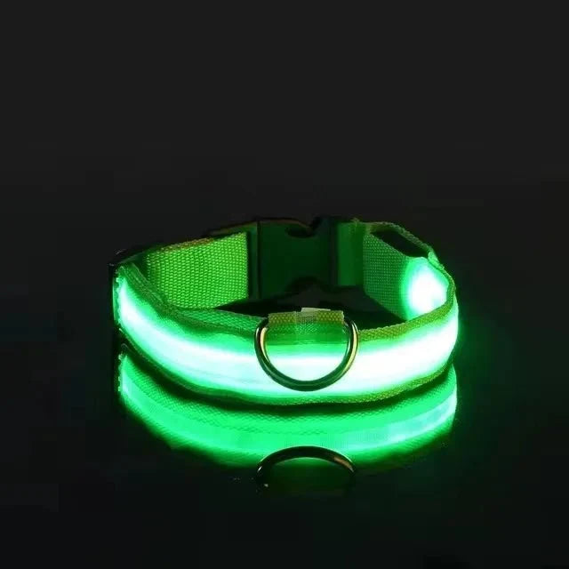 LED Dog Collar | Nylon Light-Up Safety Collar, Reflective Glow