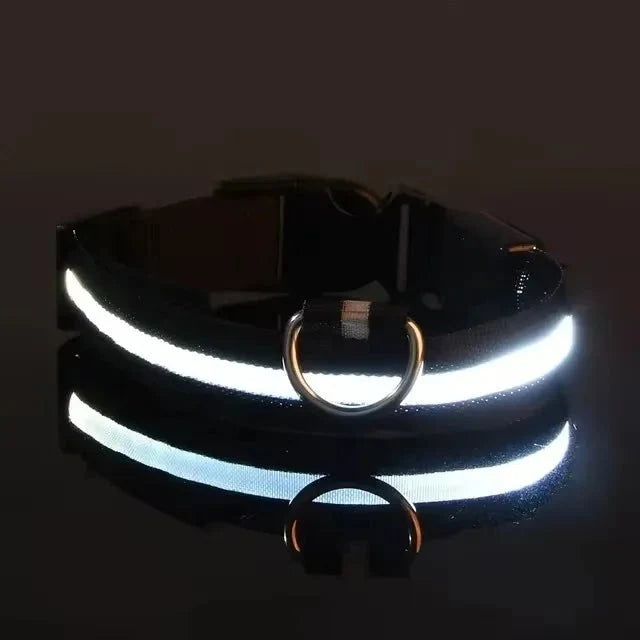 LED Dog Collar | Nylon Light-Up Safety Collar, Reflective Glow