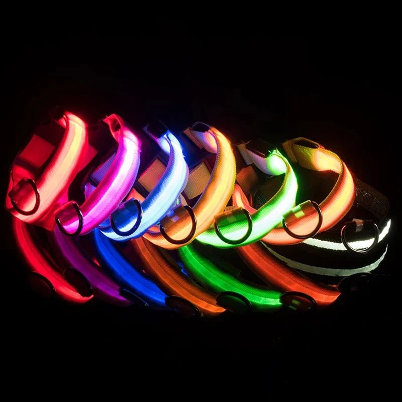 LED Dog Collar | Nylon Light-Up Safety Collar, Reflective Glow