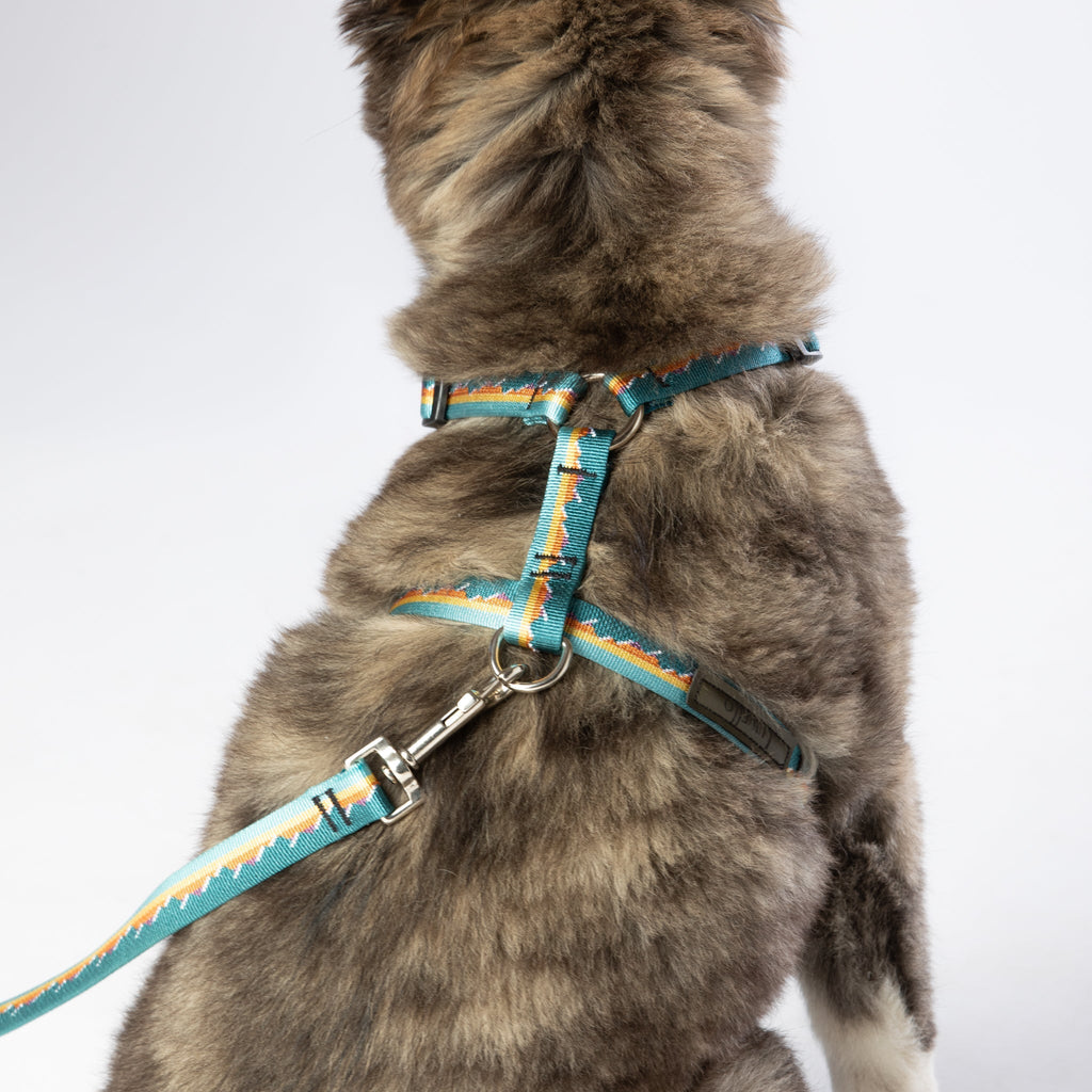 Escape Free Dog Harness 1''